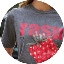 01 t shirt estampa frutas cinza